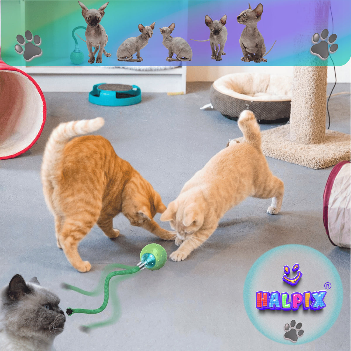 Interactive Smart Ball with Bird Sounds Halpix Smart Cat Ball Manufacturer code H0019