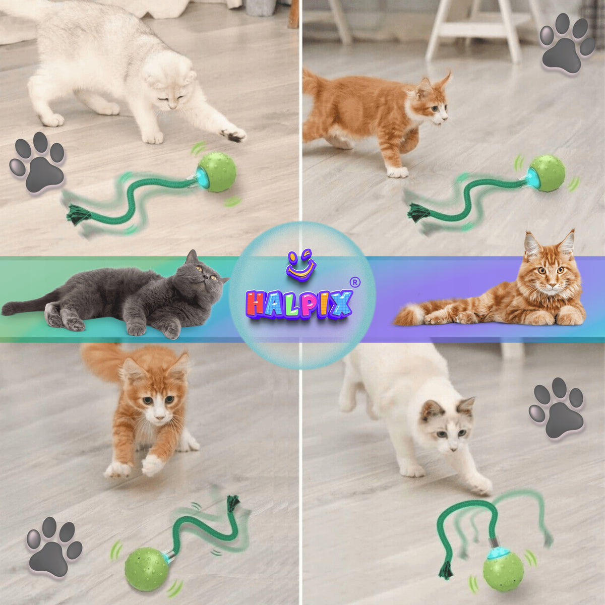 Interactive Smart Ball with Bird Sounds Halpix Smart Cat Ball Packaging status original