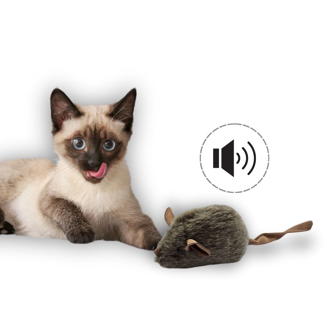 Interactive cat mouse toy Brand no brand