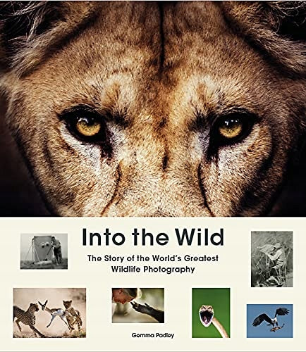 Into the Wild: Die Geschichte der großartigsten Tierfotografie der Welt 