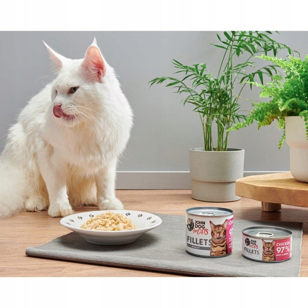 JOHN DOG FOR CATS CAT FOOD CHICKEN FILLETS 70g Packaging status original