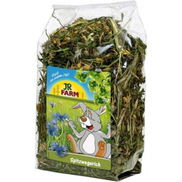 JR Farm Lancet Grandmother 100g