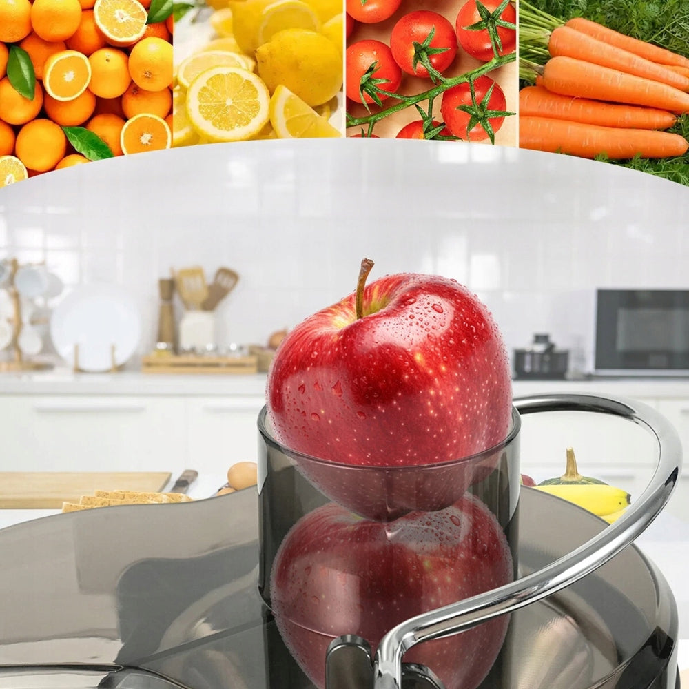 JUICER CITRUS JUICER FRUIT VEGETABLE ELECTRIC 1000W Brand no brand