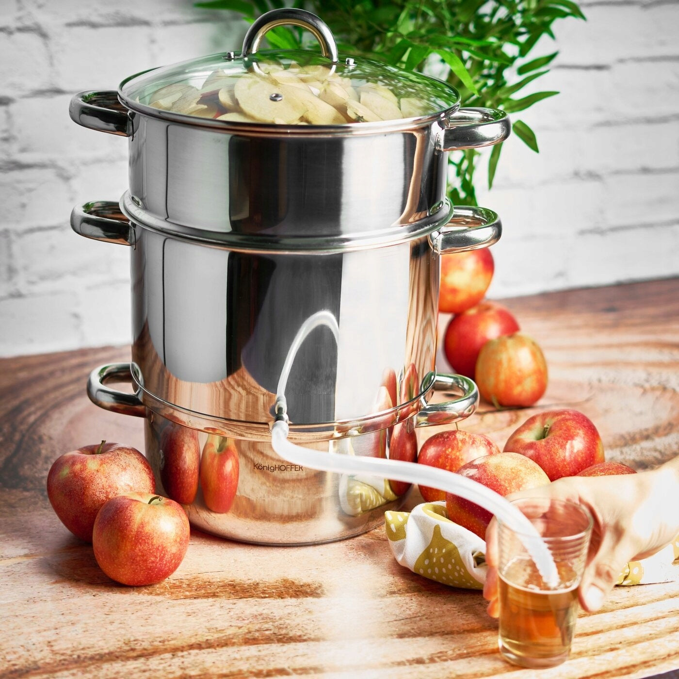 JUICER STEAM POT 5L, INDUCTION, STAINLESS, NEW EAN (GTIN) 5903313413473