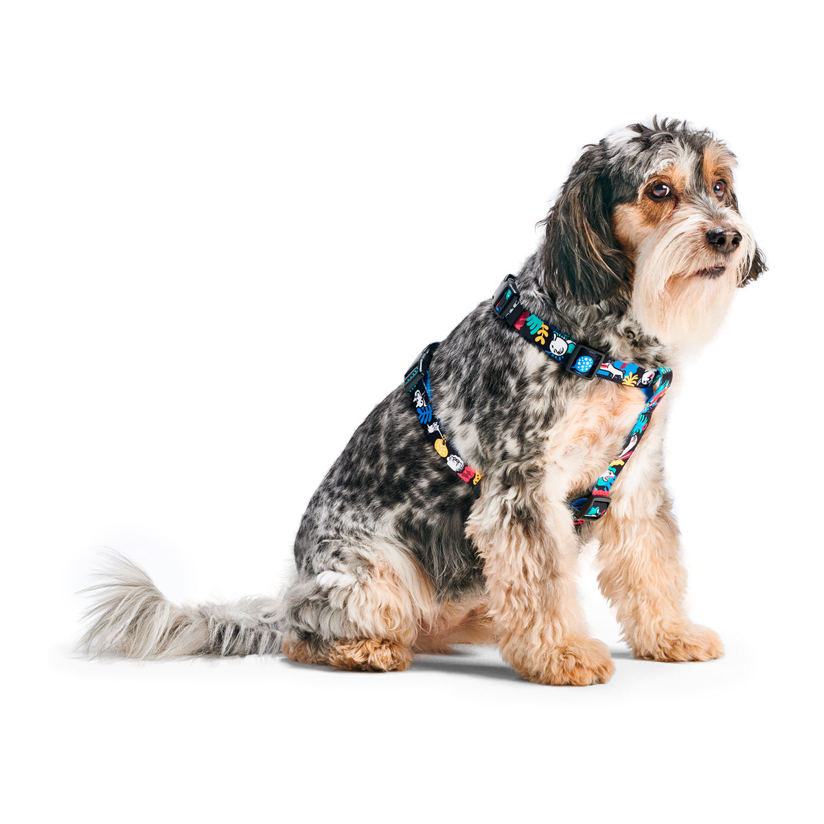 John Dog Barcelona harness guard for dog XS blue