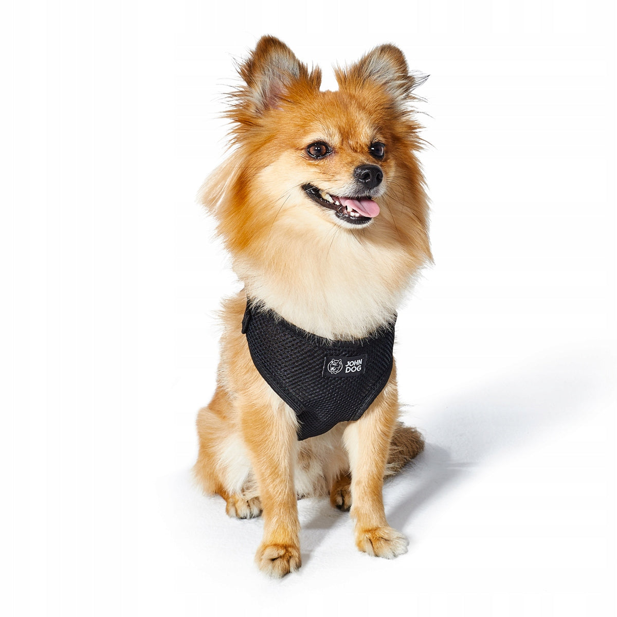 John Dog Black Pressure-Free Harness Black XS