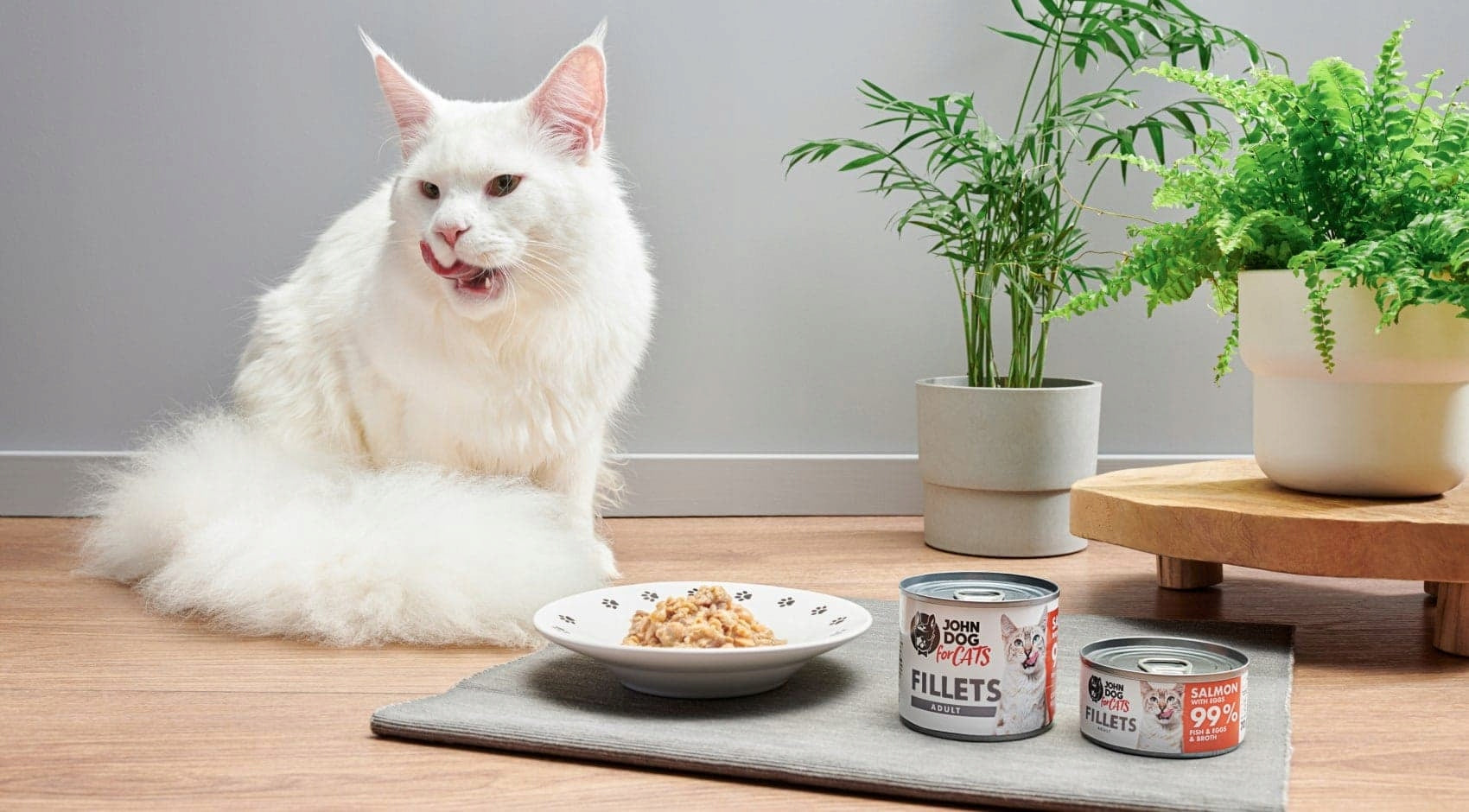 John Dog for Cats Fillets Salmon Eggs 140g for Cat Brand John Dog for Cats