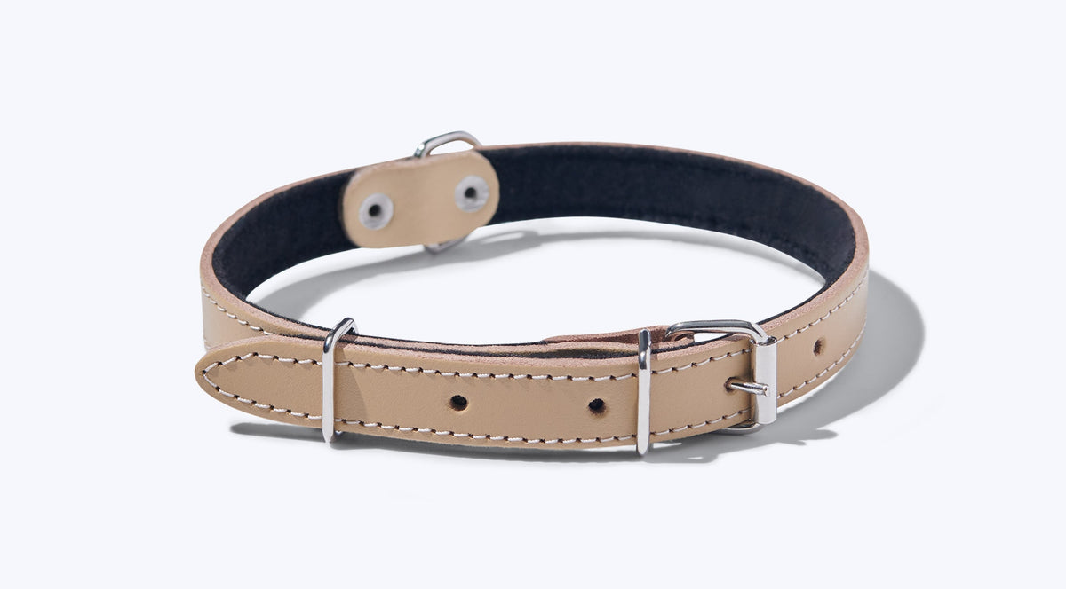 John Dog leather dog collar beige XXS Manufacturer code BJDP5000J1035