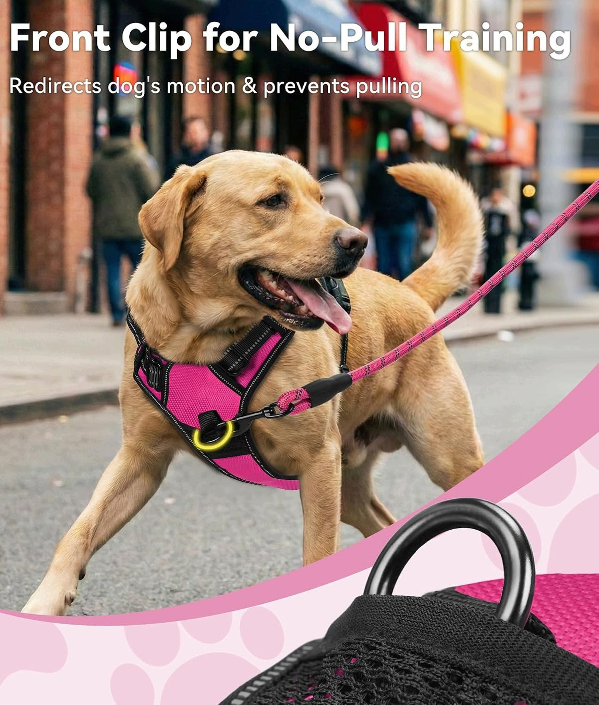 Joytale Hot Pink M Harness 2 Clips Adjustable Soft Padded Reflective Manufacturer code FBA3000424