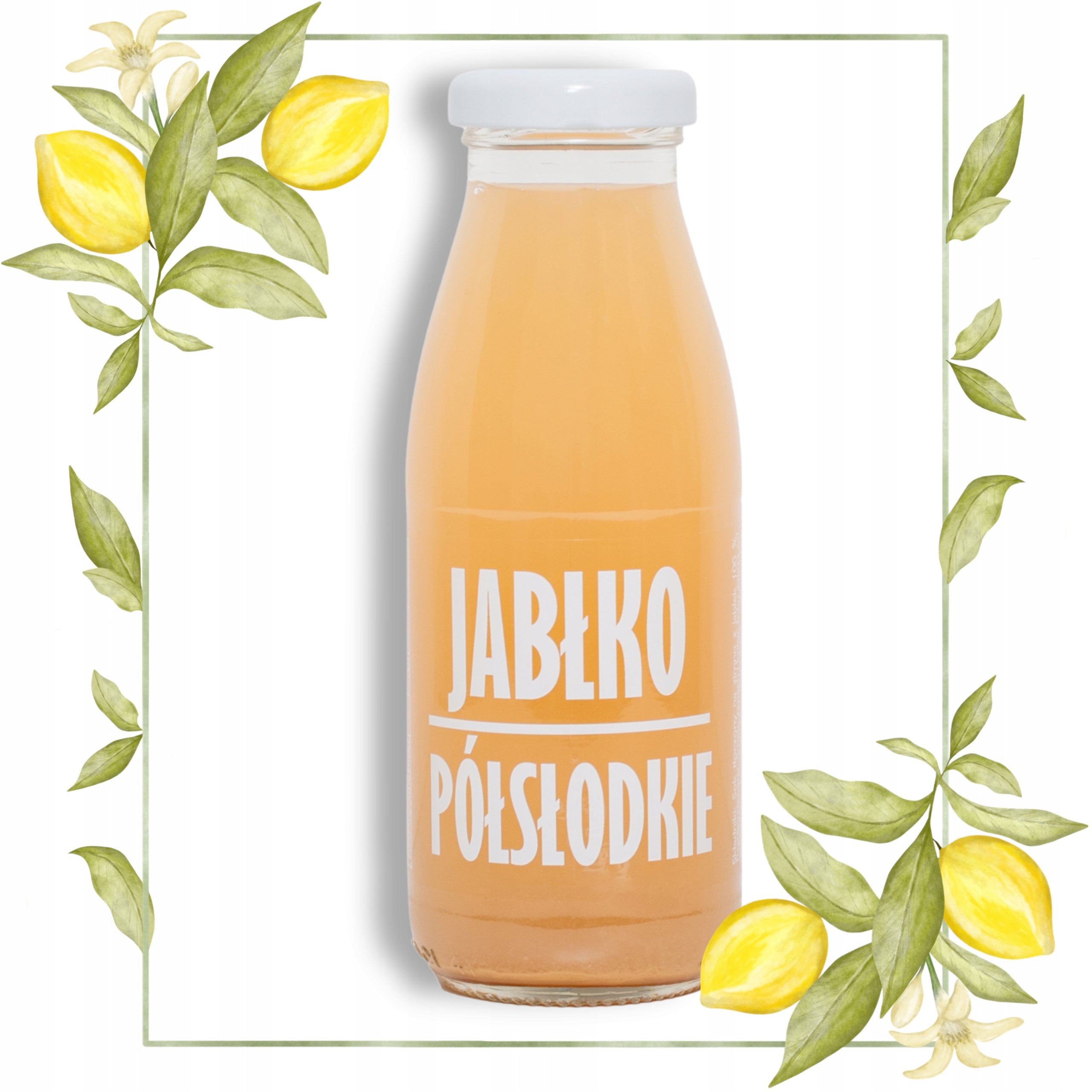 Juice Apple Semi-Sweet 100% Apples NFC Natural Pressed No Additives 250ml Packaging status original