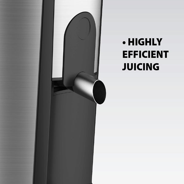 Juicer for vegetables and fruits 700W silver MAESTRO MR-802 Brand no brand