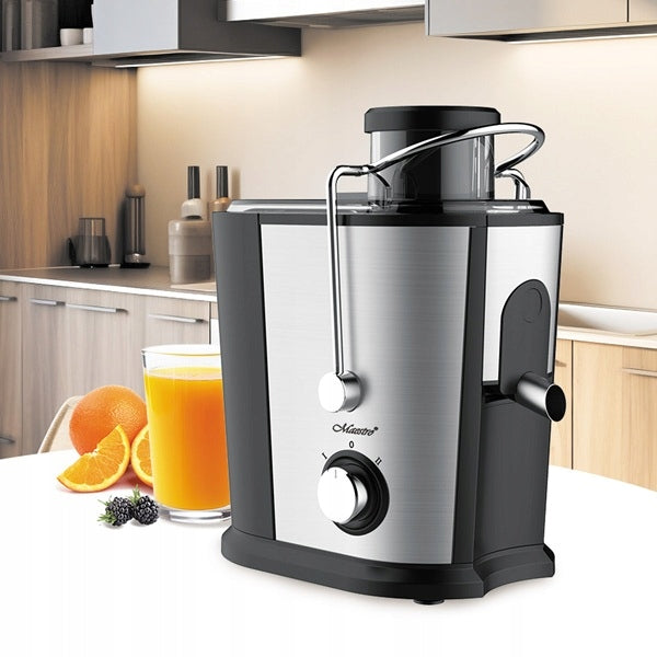 Juicer for vegetables and fruits 700W silver MAESTRO MR-802 Dominant color silver