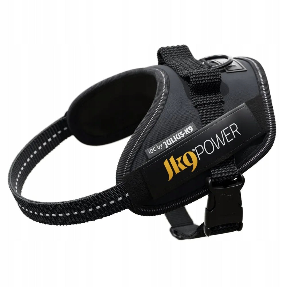 Julius-K9 IDC Powerharness Gray, Premium Grey Braces, Size 2 Kind walking harness