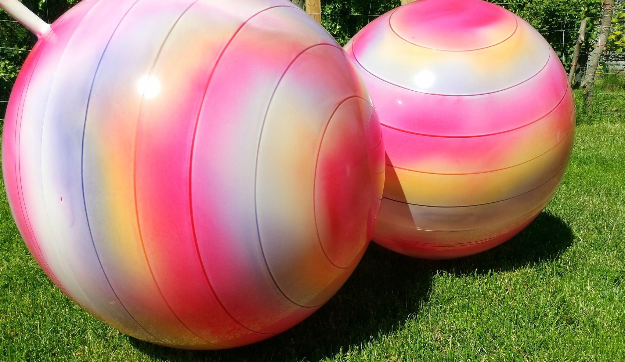 Jumper JUMPING BALL - KANGAROO 60cm POLISH PRODUCT - FROM LEO BEST Manufacturer code 3034