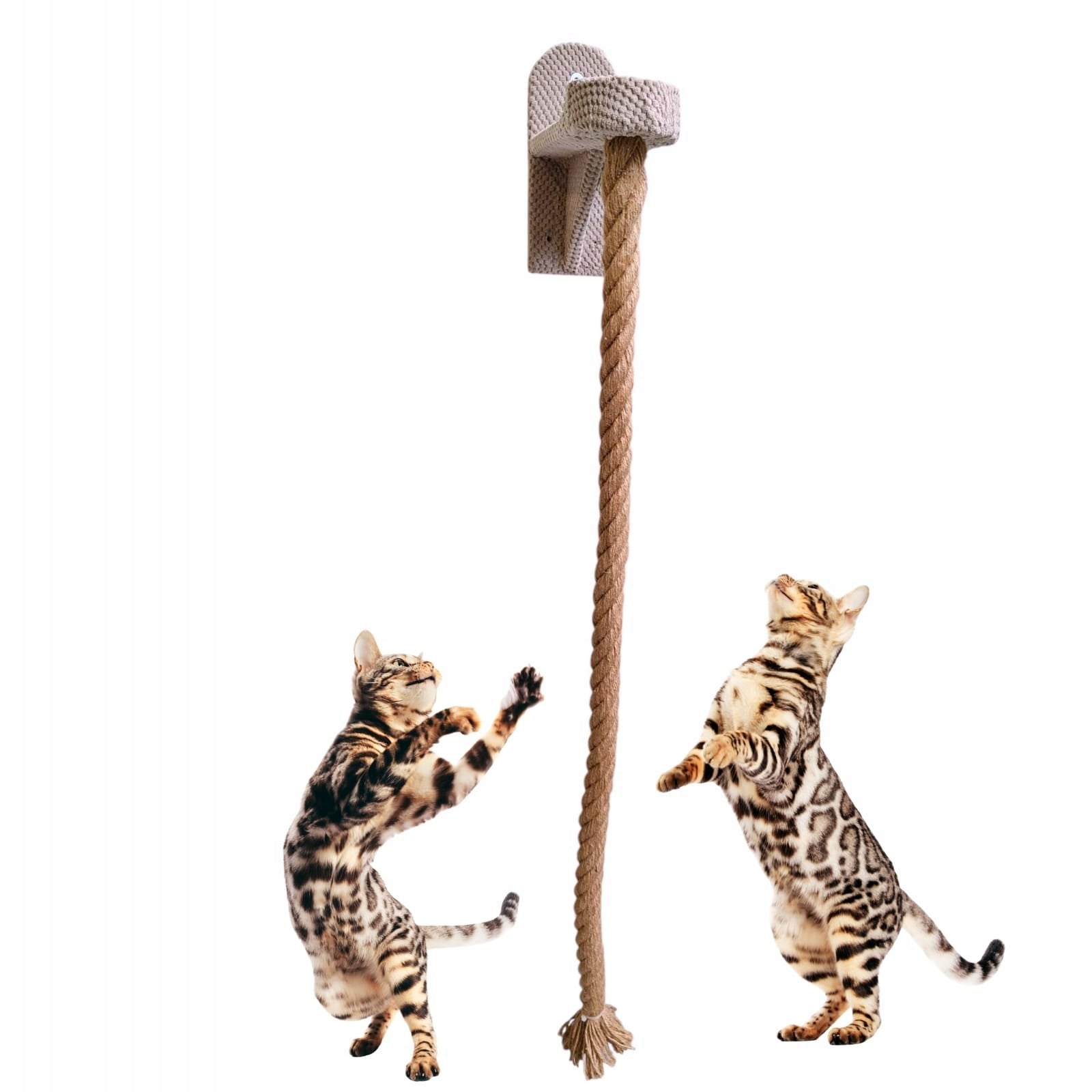 Jute rope Climbing rope Makspol on the wall! Premium Sizal