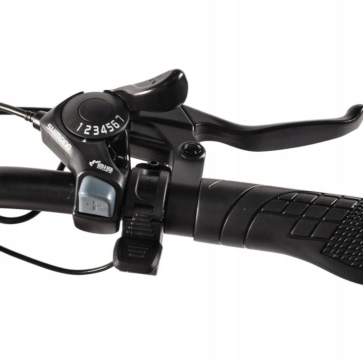 KAISDA K201 250W 20.8Ah Electric Bike, Up to 120KM Range, 25KM/H Max Speed, Frame size 20"