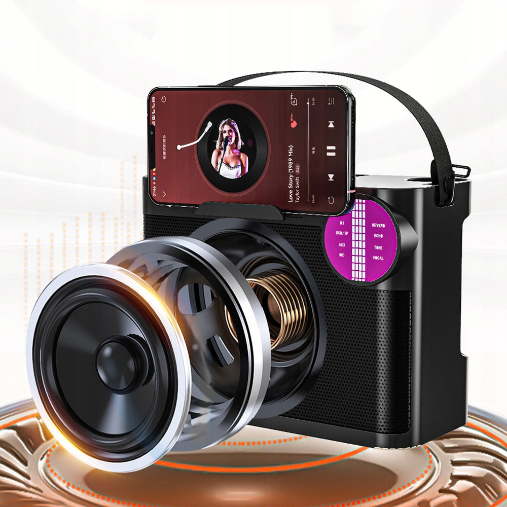 KARAOKE SPEAKER BLUETOOTH 5.3 WITH DUAL MICROPHONE FOR FAMILY EVENTS Model other