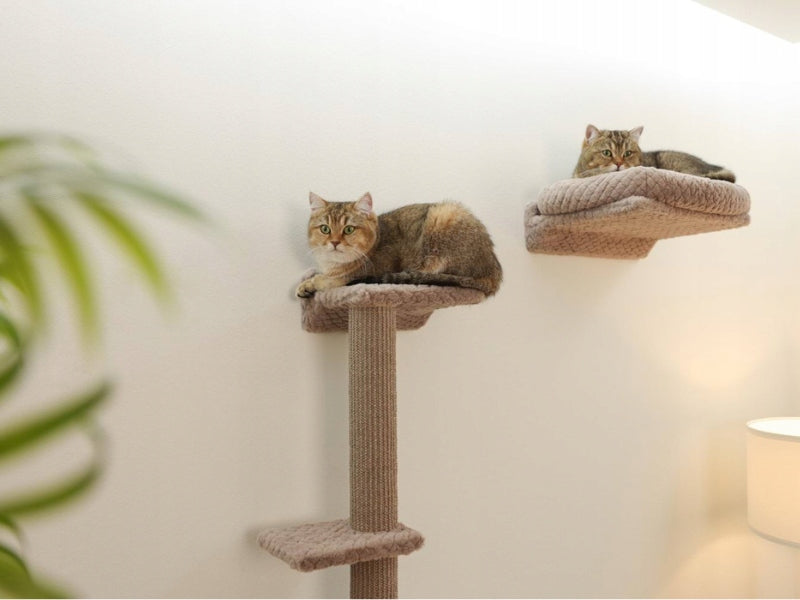 KERBL Monte Alpi Cat set bed shelf sisal scratching post for wall 8 el Manufacturer code 0010609