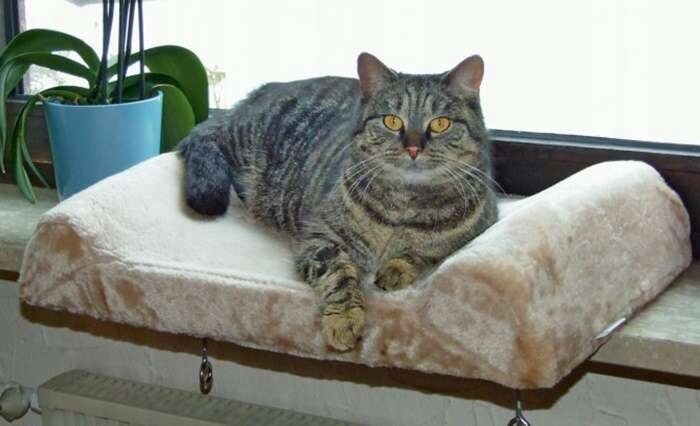 KERBL Thermal bed plush for cat dog window sill window 56 cm Kind bed