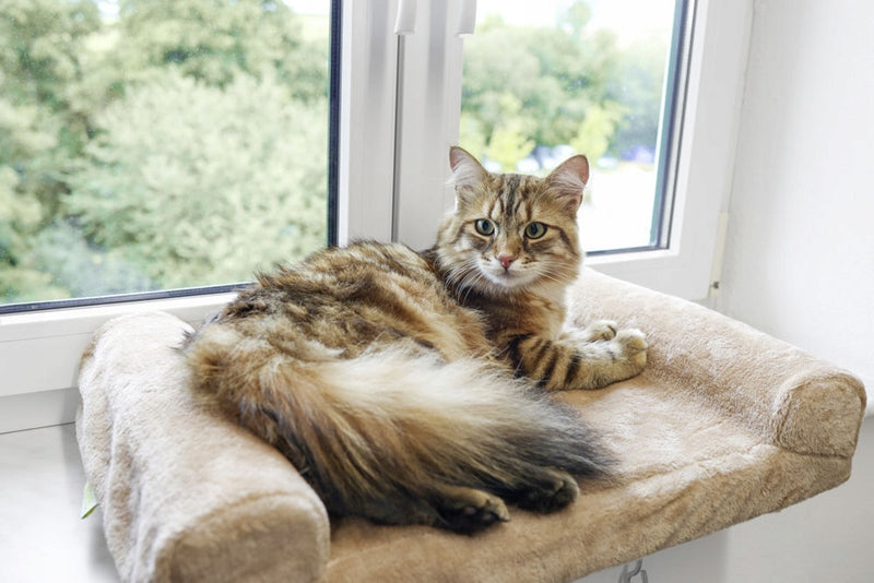 KERBL Thermal bed plush for cat dog window sill window 56 cm Manufacturer code 5535