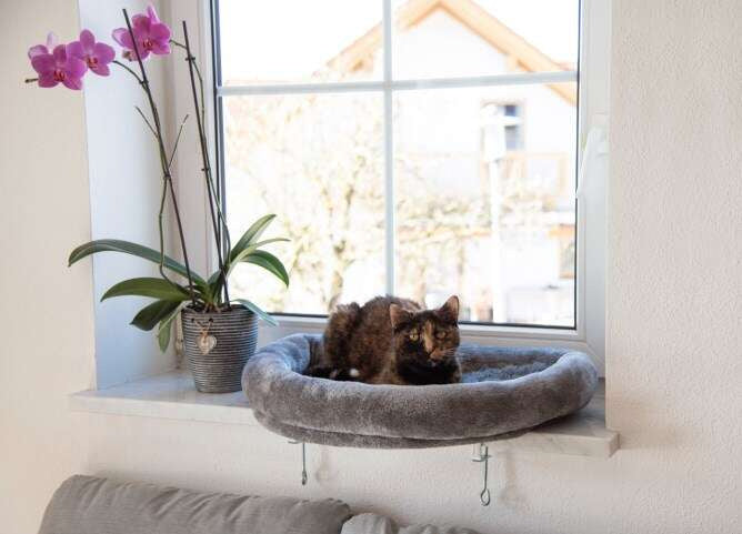 KERBL bed dog cat couch for window sill 55 cm Product width 55 cm