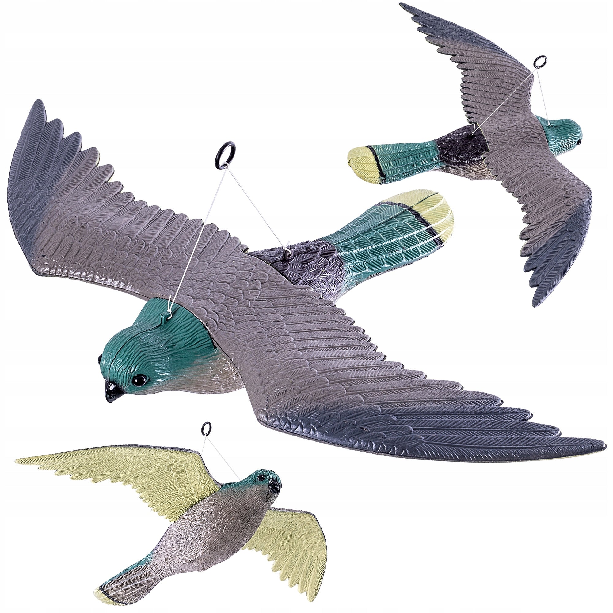 KESTREL PIGEON BIRD REPELLENT LARGE STARLING BIRDS IN FLIGHT TO BALCONY