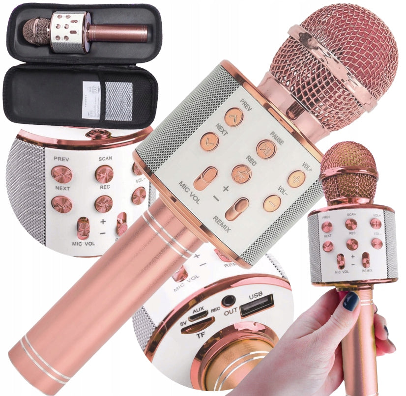 KIDS KARAOKE WIRELESS MICROPHONE WITH BLUETOOTH SPEAKER USB CASE