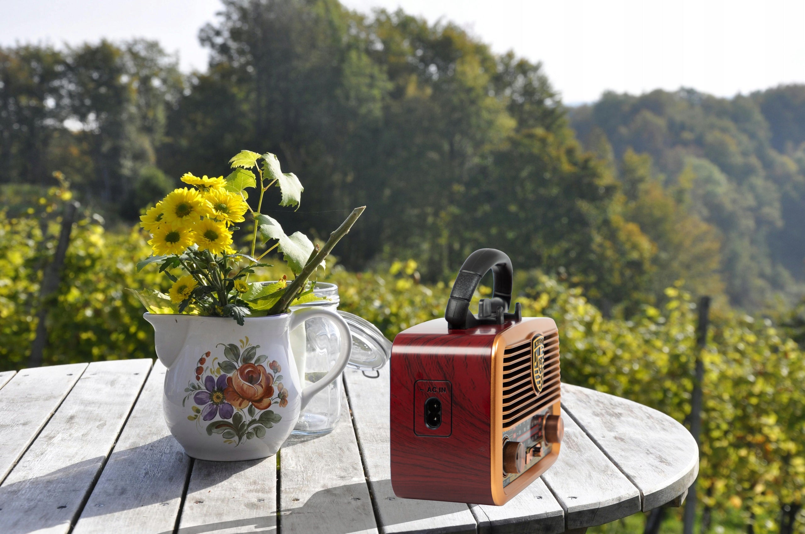KITCHEN RADIO PORTABLE RETRO BATTERY SOLAR BLUETOOTH ANTENNA HOLDER Packaging status original