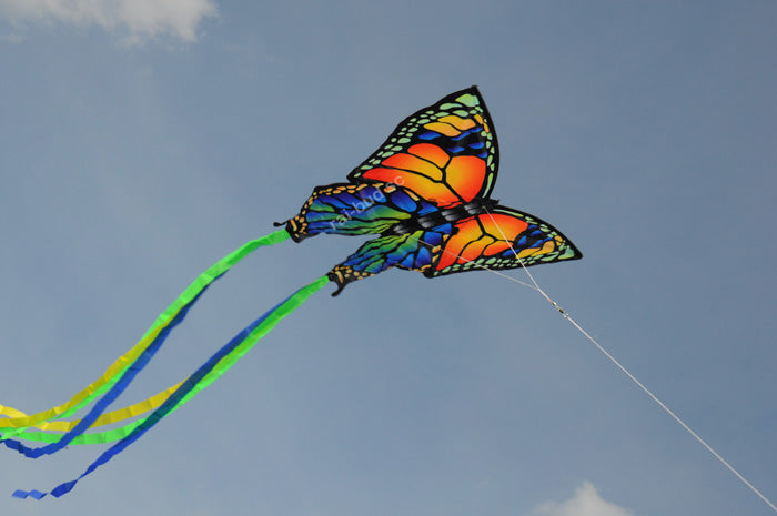 KITE BUTTERFLY EXTRA COLORS 3D EFFECT 1,5m 95x63cm EAN (GTIN) 754295580913