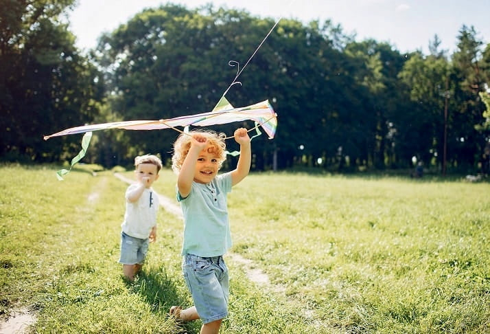 KITE LARGE STRONG COLORFUL FOR CHILDREN EAGLE 110CM Kid's age 3＋ years
