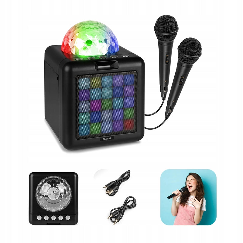 Karaoke with LED hemisphere 15W bluetooth speaker 2 microphones Fenton black Batteries included yes