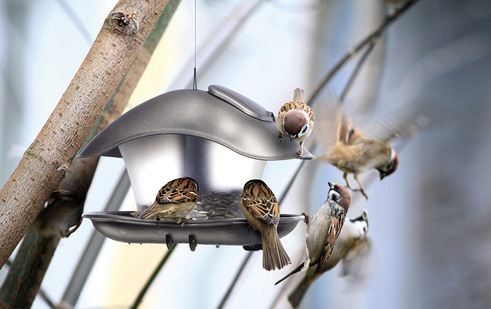 Vogelhäuschen Prosperplast IBFS-405U 