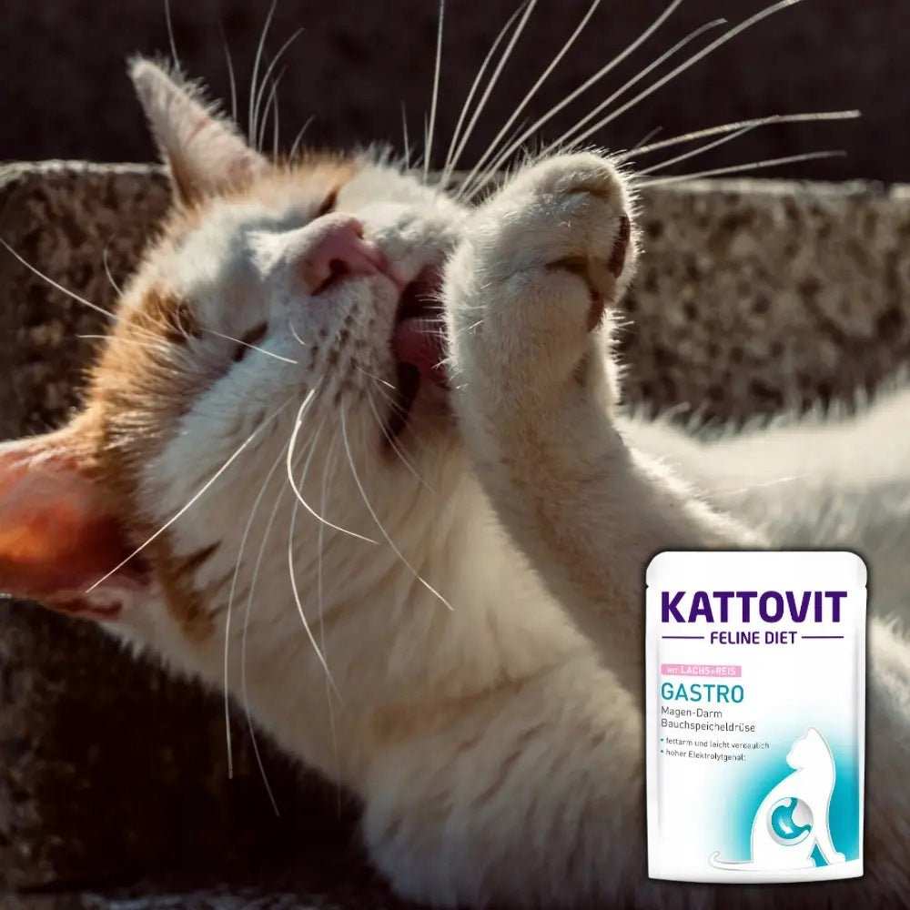 Kattovit Gastro Salmon with rice 85g Wet cat food intestinal stomach Manufacturer code 24739
