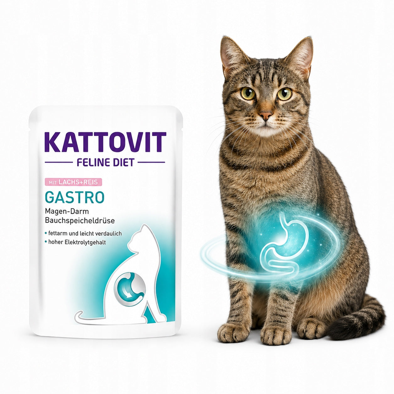 Kattovit Gastro Wet Cat Food Salmon Rice Sachet 85 g Brand Kattovit
