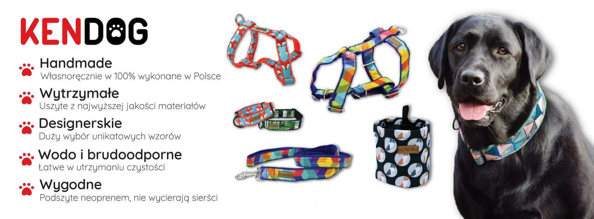 KenDog Velvet Turquoise Dog Collar 2,5cm S Packaging status original