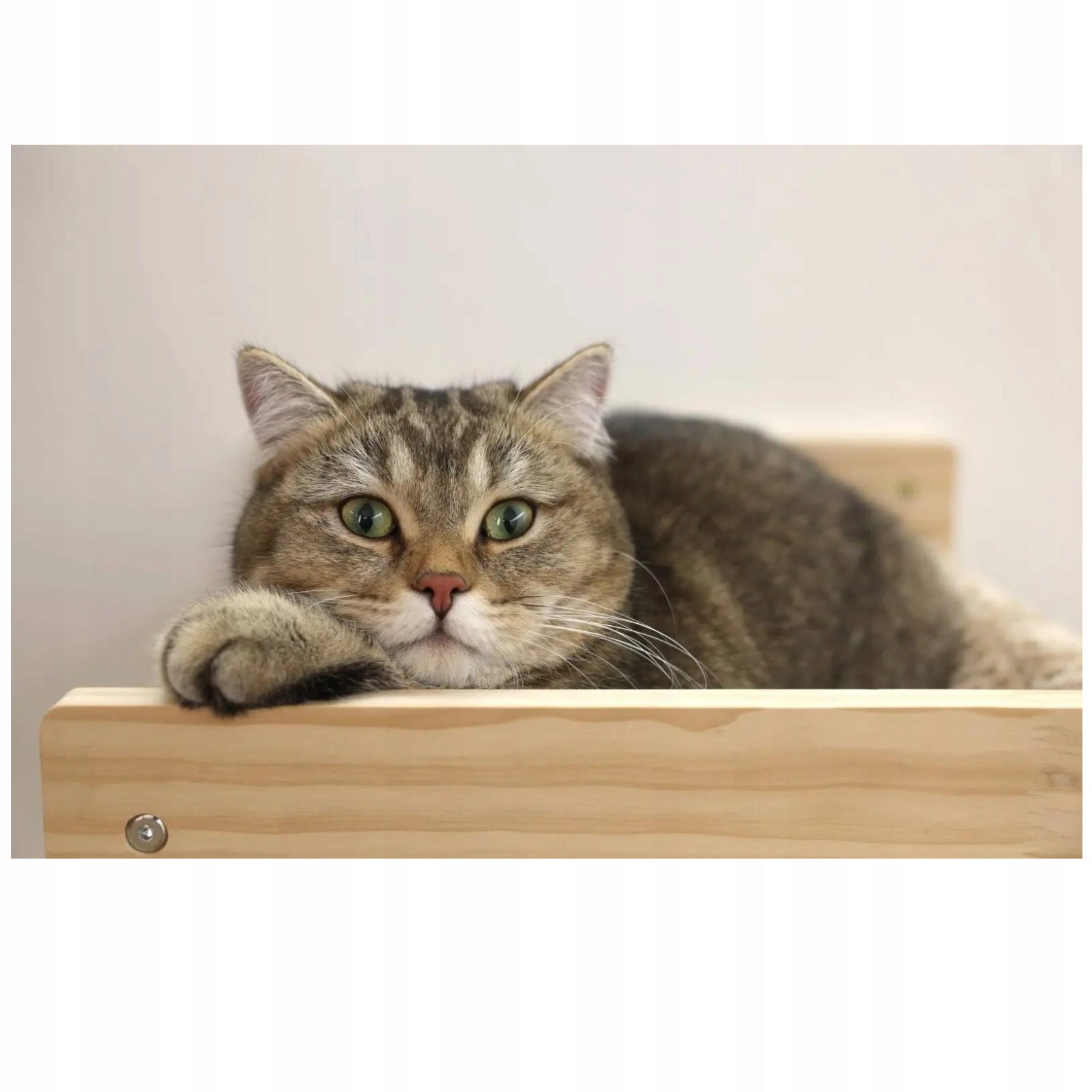 Kerbl Cat Hammock Wall Mount Grey Shelf Strong Wall Mount 38X33,5X16 Product width 33.5 cm
