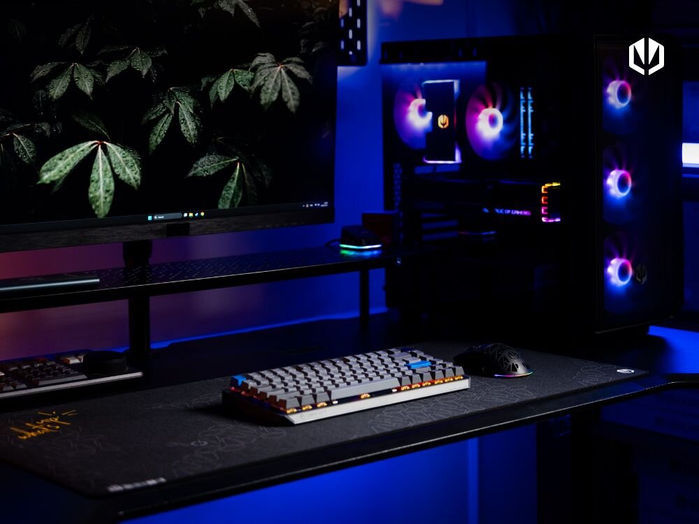 Keyboard ENDORFY Thock V2 75 Wireless Keyboard type mechanical