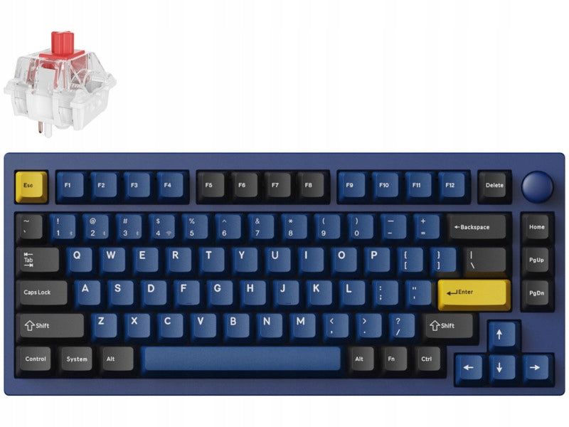 Keyboard KEYCHRON P1P-O1 Mechanical