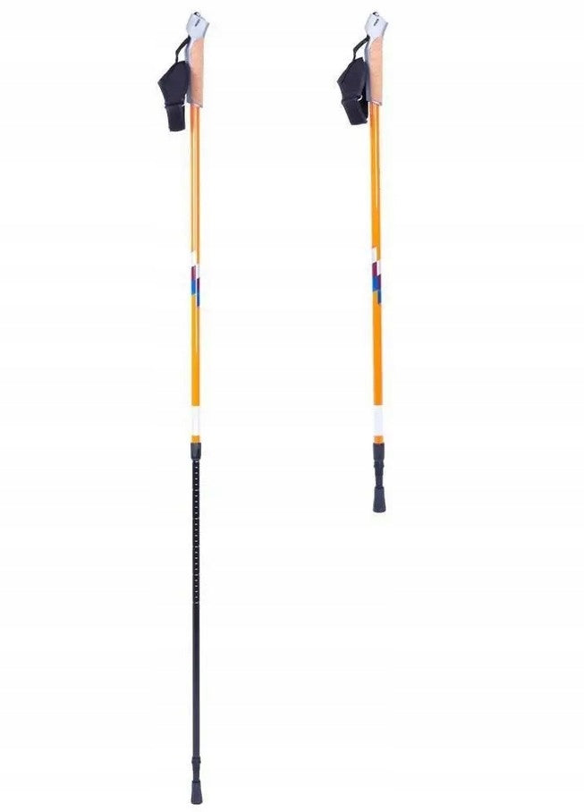 Nordic-Walking-Teleskopstöcke inSPORTline Potosi 