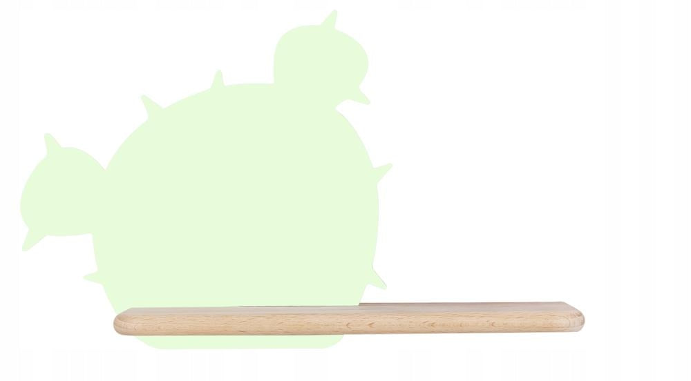 Candellux sieninis šviestuvas Cactus