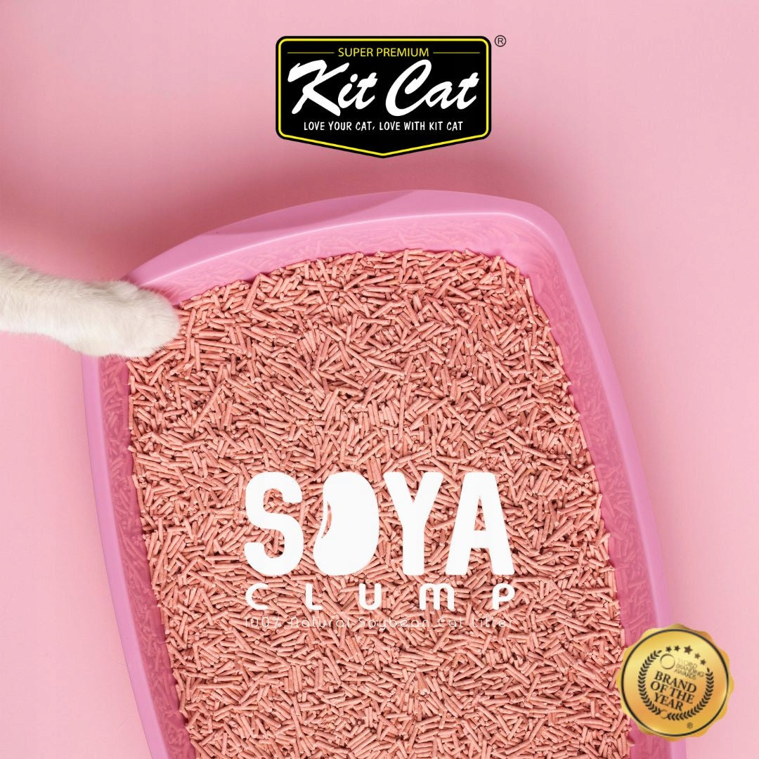 Kit Cat ECO SoyaClump Lavender 7L / 2,5kg Trade name 21069
