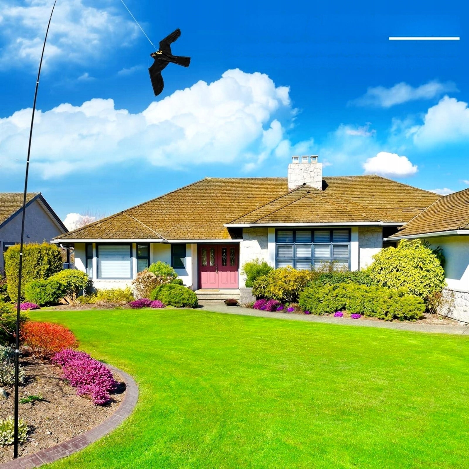 Kite Bird Repellent Falcon Hawk Set with Telescopic Mast 5m Kind repellent