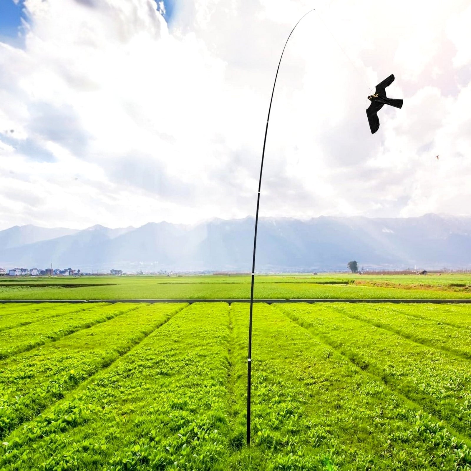 Kite Bird Repellent Falcon Hawk Set with Telescopic Mast 5m Use Against mosquitoes flies birds