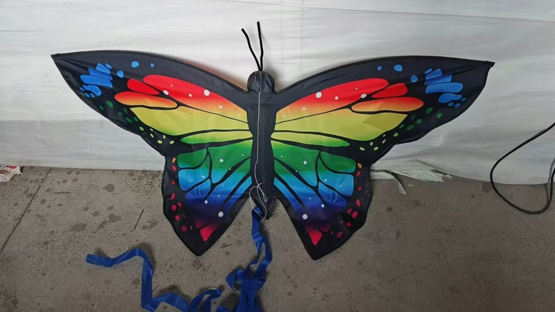 Kite butterfly 1,40m outdoor fun holiday beach Brand Shein
