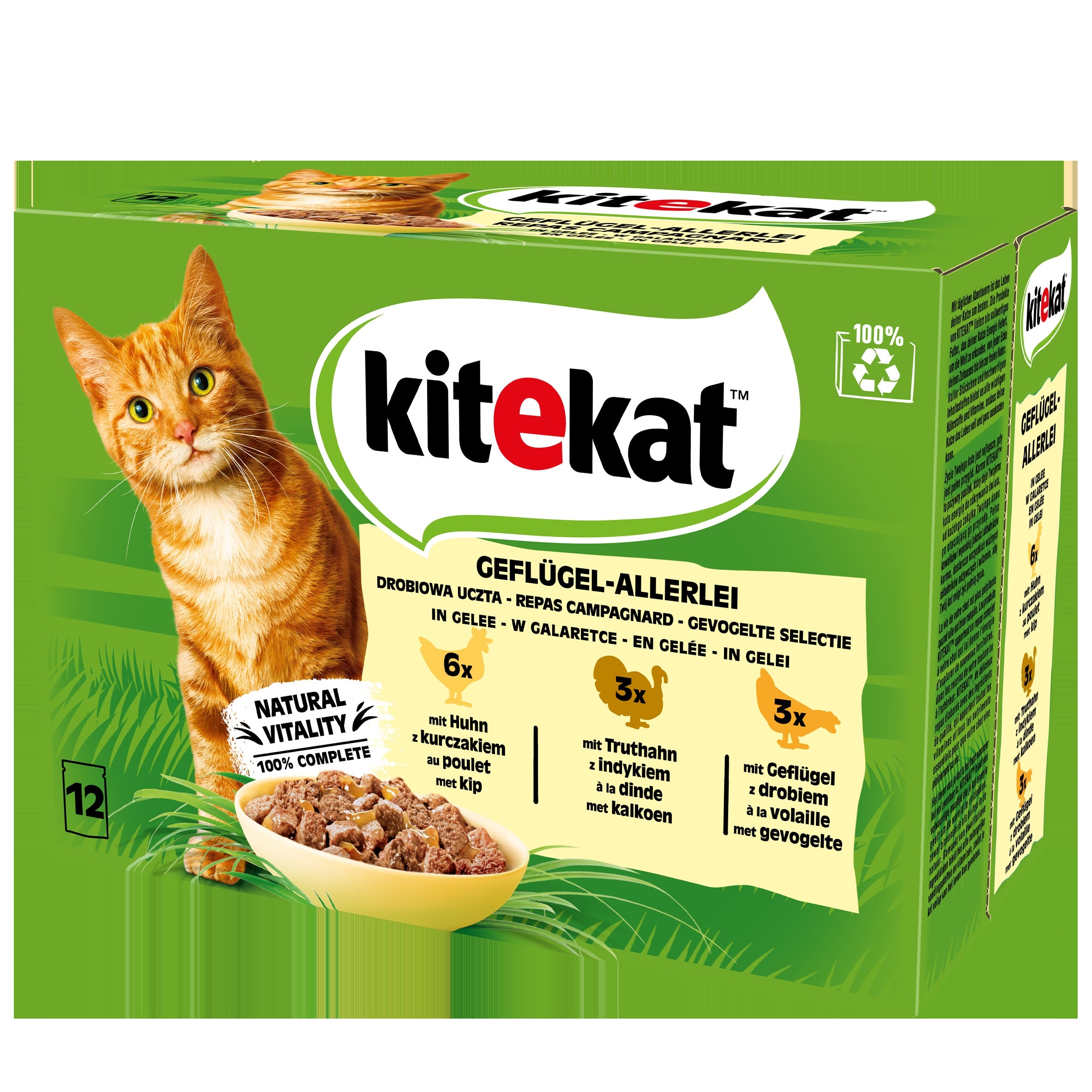 Kitekat Poultry Feast 12x85g EAN (GTIN) 4008429157226