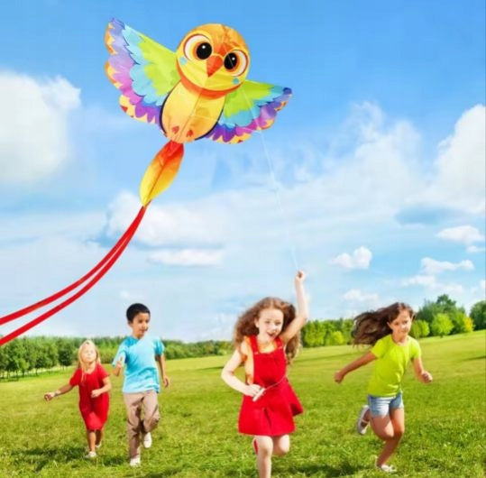 Kites flying toys kite SOWA for children FUN OUTDOORS FREEBIE Brand no brand