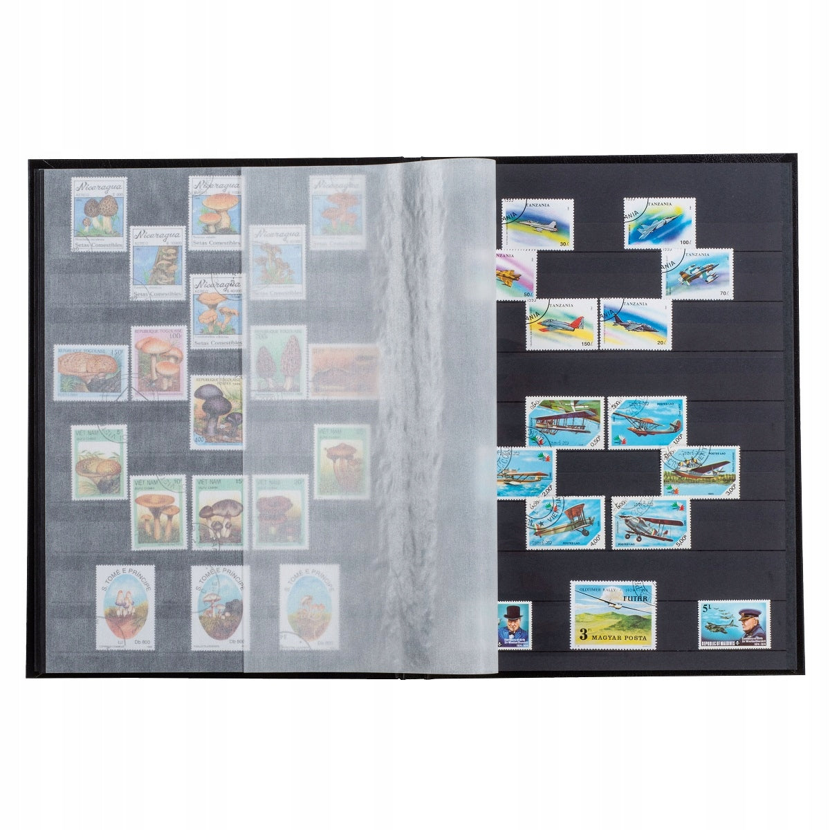 Briefmarkenalbum Leuchtturm Basic LS 4/32", A4-Format, 64 schwarze Seiten, schwarz 
