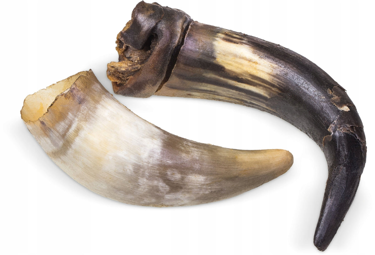 Kołodziejczyk | BEEF HORNS - 1000G Volume 1000 ml