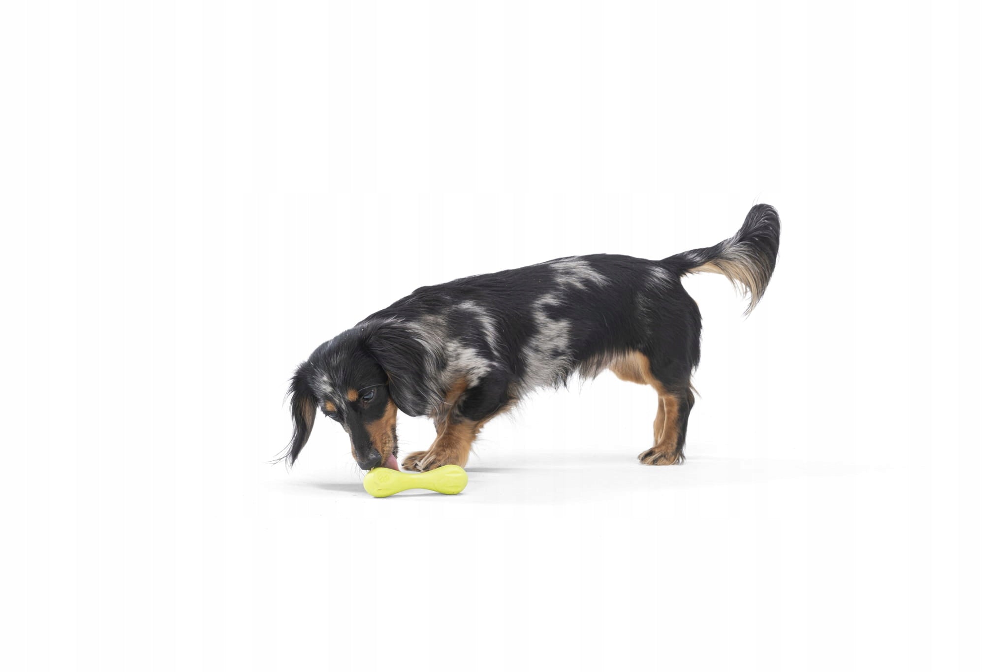 Gummispielzeug für Hunde West Paw, blau 