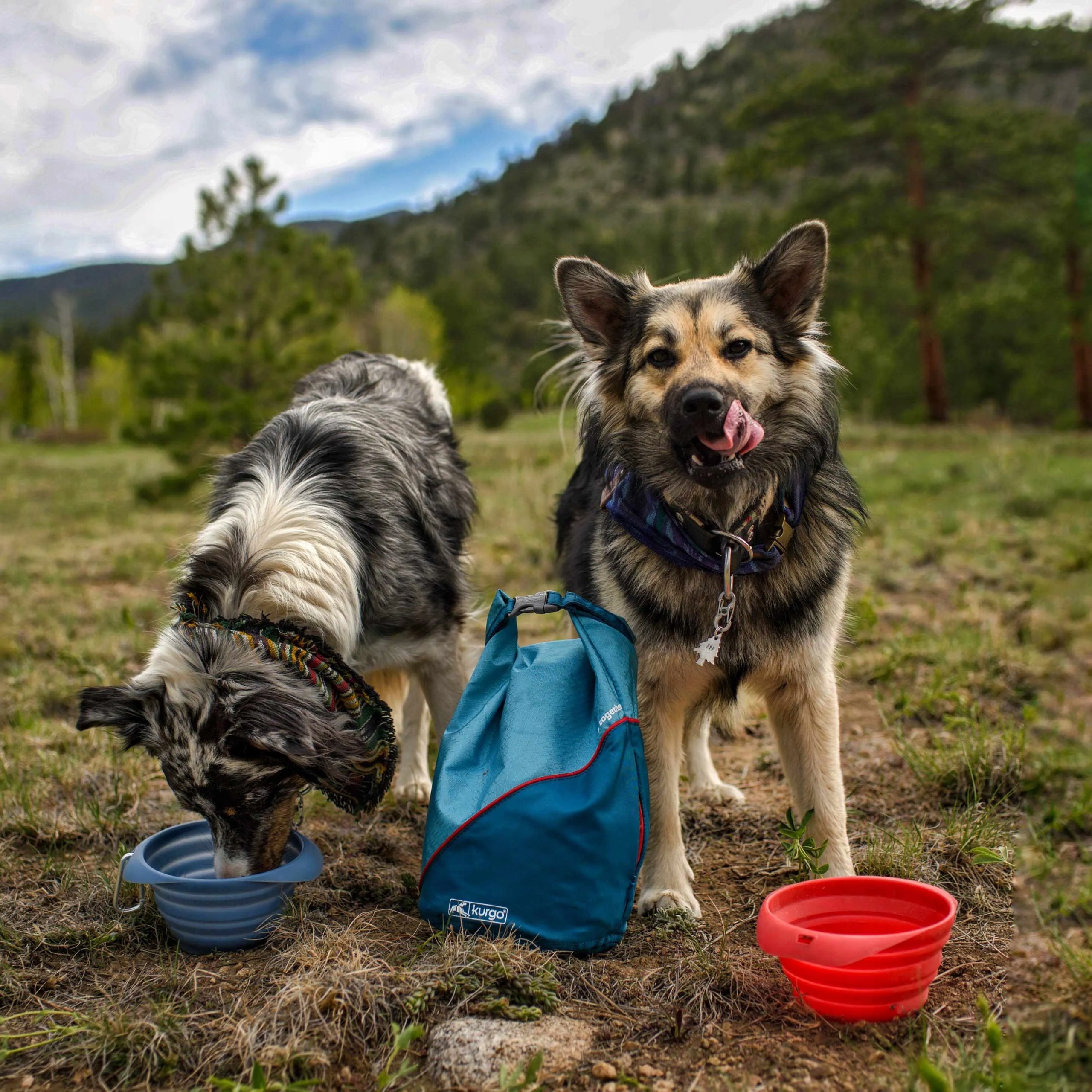 Kurgo Collaps Bowl 710ml - foldable dog bowl, BPA free Blue Manufacturer code K01963